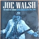 Joe Walsh - The King Of Comedy